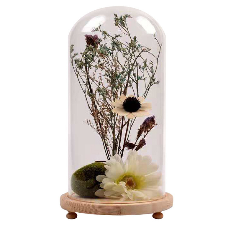 Dust-proof glass Bell Jar Eternal life flower  glass cover with lamp Display Dome With Wood base