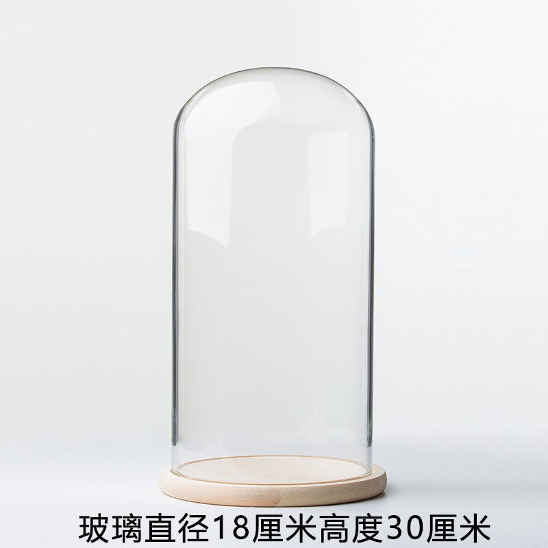 Dust-proof glass Bell Jar Eternal life flower  glass cover with lamp Display Dome With Wood base