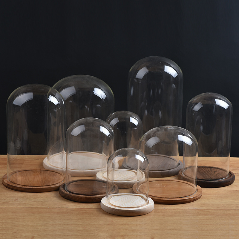 Dust-proof glass Bell Jar Eternal life flower  glass cover with lamp Display Dome With Wood base