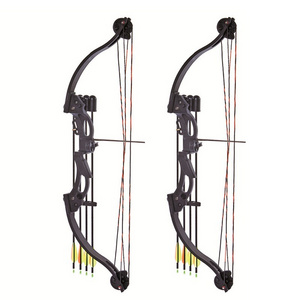 Youth archery compound bow and arrow for shooting