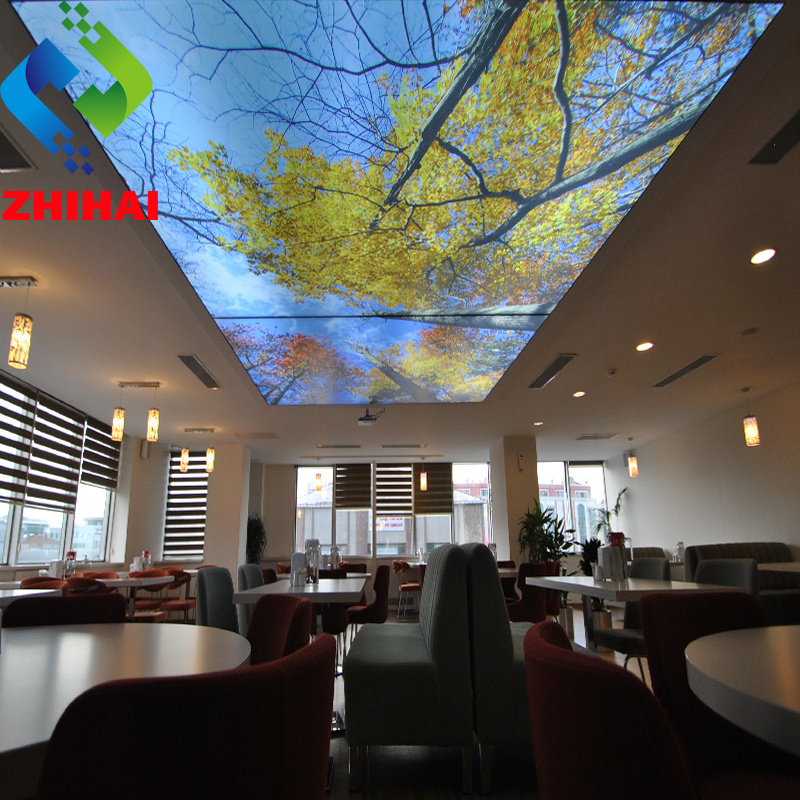 ZHIHAI Different Designs Different Shapes of 3D Print PVC Stretch Ceiling Film not adhesive similar like photo wallpaper