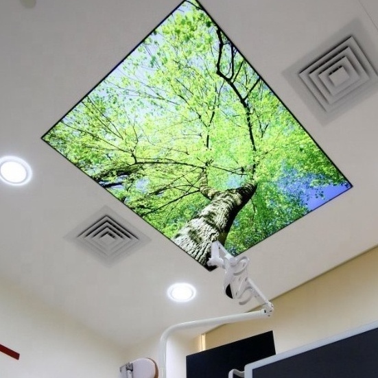 ZHIHAI custom hot design art 3d pvc ceiling panel