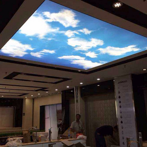 ZHIHAI excellent quality thin light translucent print pvc hexagon ceilings ceiling tiles