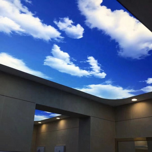 ZHIHAI white cloud blue sky high quality uv print price ceiling tile 60x60