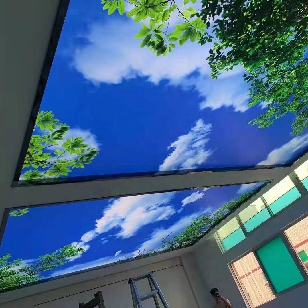 ZHIHAI white cloud blue sky high quality uv print price ceiling tile 60x60