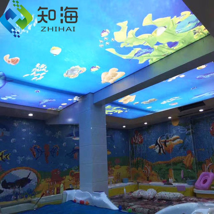 dimmable led light box square rectangle irregular fireproof decorative artistic pvc ceilings wall 3d mobile home ceiling panel