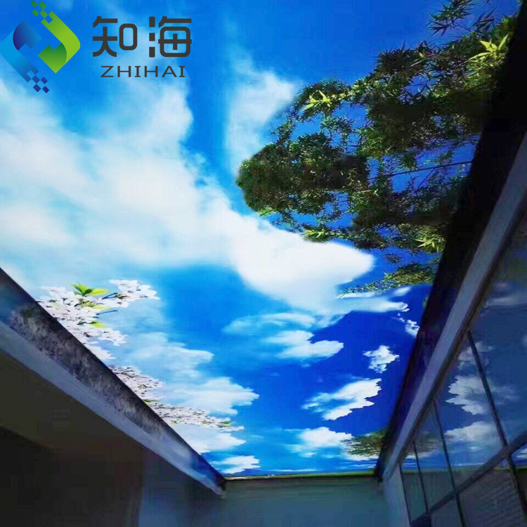 dimmable led light box square rectangle irregular fireproof decorative artistic pvc ceilings wall 3d mobile home ceiling panel