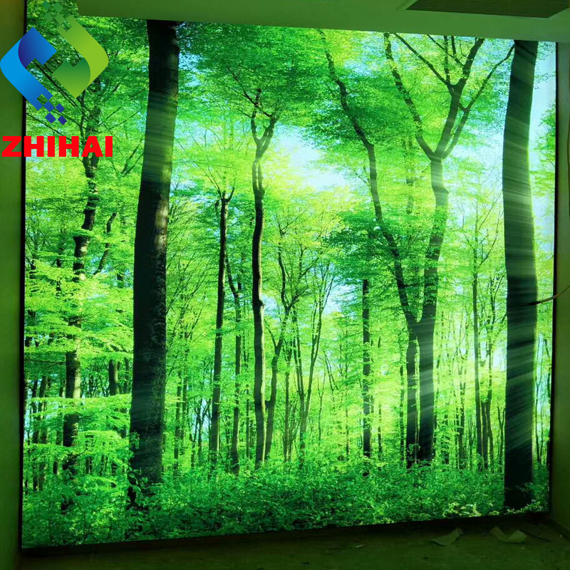 ZHIHAI Different Designs Different Shapes of 3D Print PVC Stretch Ceiling Film not adhesive similar like photo wallpaper