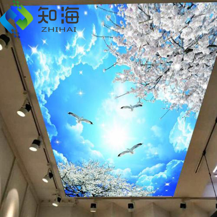 ZHIHAI strech ceiling lighting print pvc film canvas covered dimmable advertising light boxes