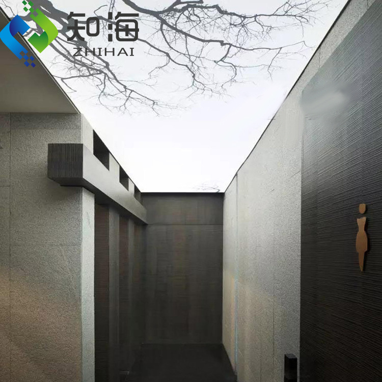 ZHIHAI high quality white translucent print pop decorative ceiling tiles