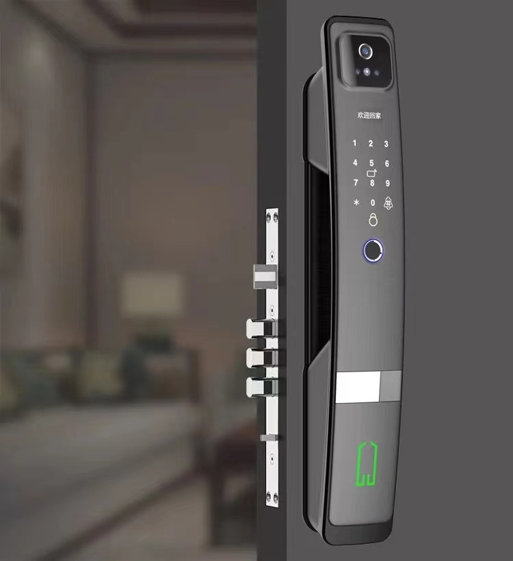 Automatic Intelligent Wireless Digital Code Smart App Fingerprint Bige Gate Camera Door Lock