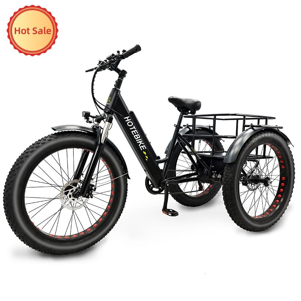 New Model 26 inch Fat Tire 3 Wheels Electric Tricycles For Adult Family Two Person 48V 500W 750W Electric Cargo Bike