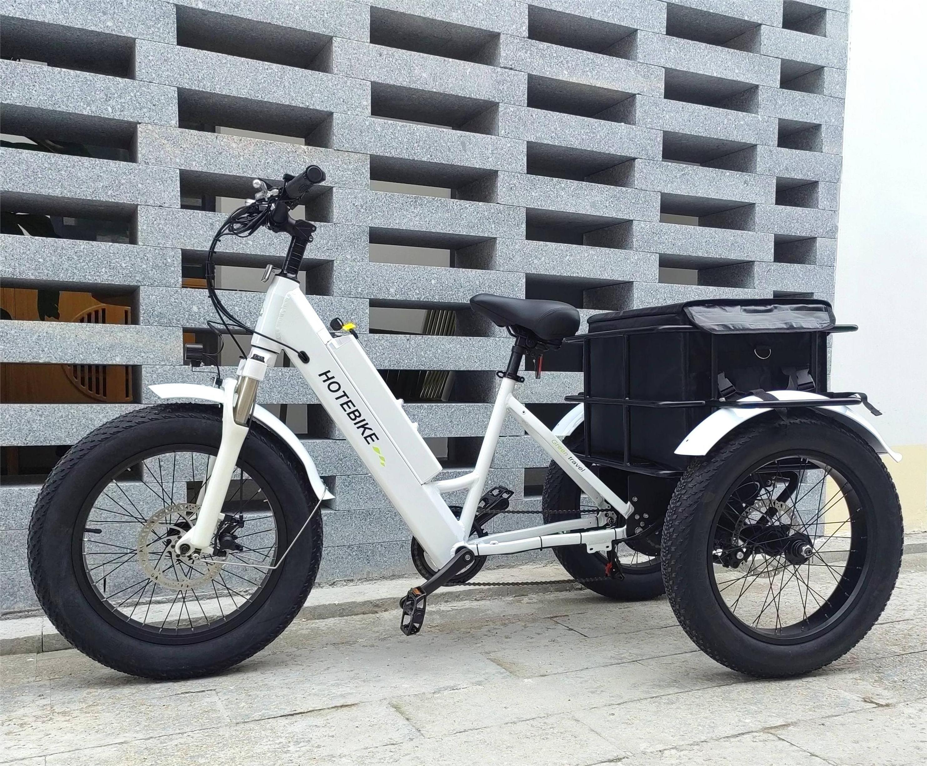 48V 500w powerful ebike 750w rear motor electric tricycle 3 wheels e trike cargo bike fat tire electric trike