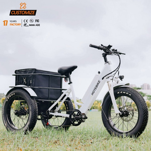 48V 500w powerful ebike 750w rear motor electric tricycle 3 wheels e trike cargo bike fat tire electric trike