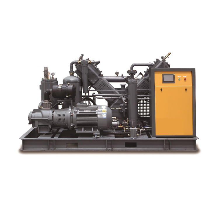 Professional factory customized solution cng compressor natural gas filling station gas power air compressor