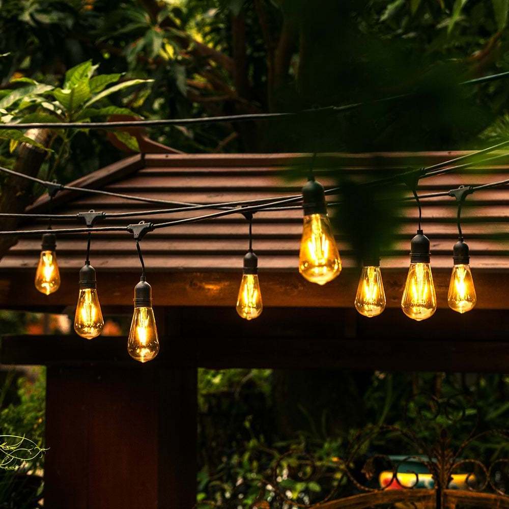 Led Edison Bulb Dimmable 10 Pcs 60 Watt Equivalent E26 Base Vintage Led Filament Bulb 6W Amber Bulbs Warm Yellow Light