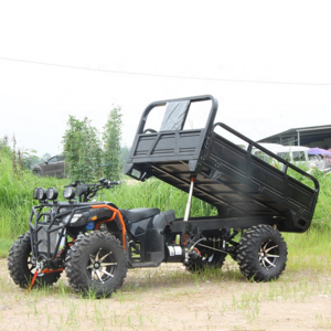 4 Wheel Drive Frame Racing Dune Buggy 250cc Farm Utility ATV  With Trailer