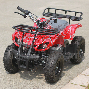 All-terrain Vehicle 49CC Quad Motos 2 Stroke Single Cylinder Gasoline 50CC ATV Quad For Kids