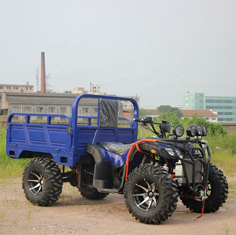 4 Wheel Drive Frame Racing Dune Buggy 250cc Farm Utility ATV  With Trailer