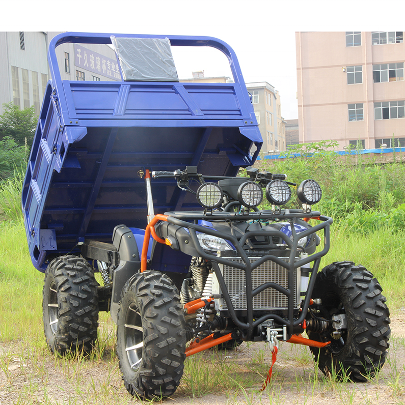 4 Wheel Drive Frame Racing Dune Buggy 250cc Farm Utility ATV  With Trailer