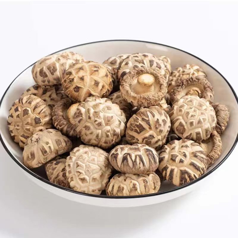 Wholesale high -quality organic shiitake mushroom dry shiitake mushroom Dried Flower Mushroom