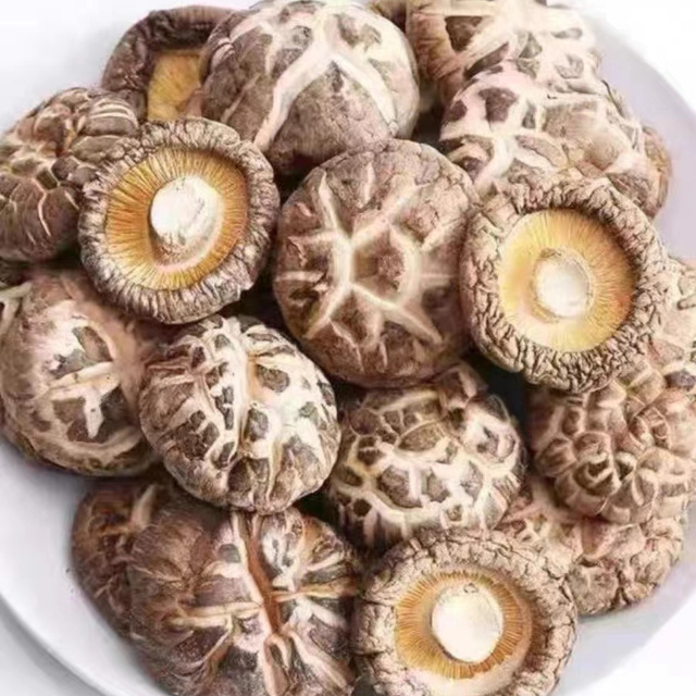 Hot sales Chinese dried shiitake mushroom dehydrated mushroom dry flower shiitake mushrooms