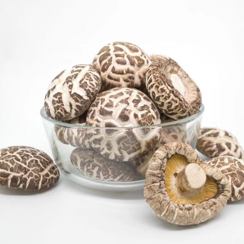 Wholesale high -quality organic shiitake mushroom dry shiitake mushroom Dried Flower Mushroom