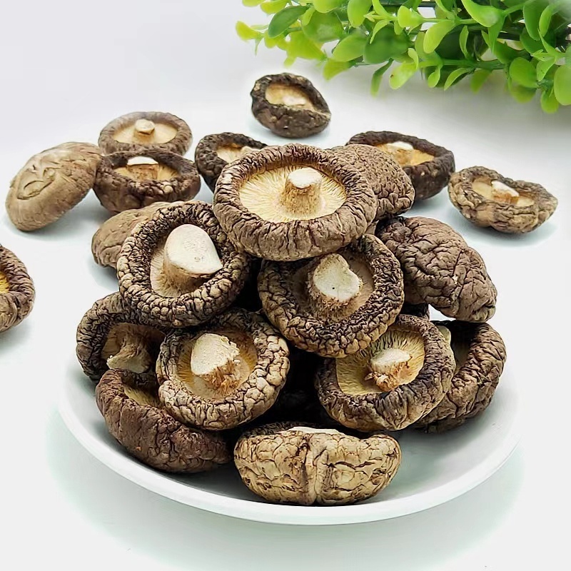 Wholesale high quality natural Dried shiitake mushrooms organic shiitake mushrooms 1kg price dried shiitake mushrooms