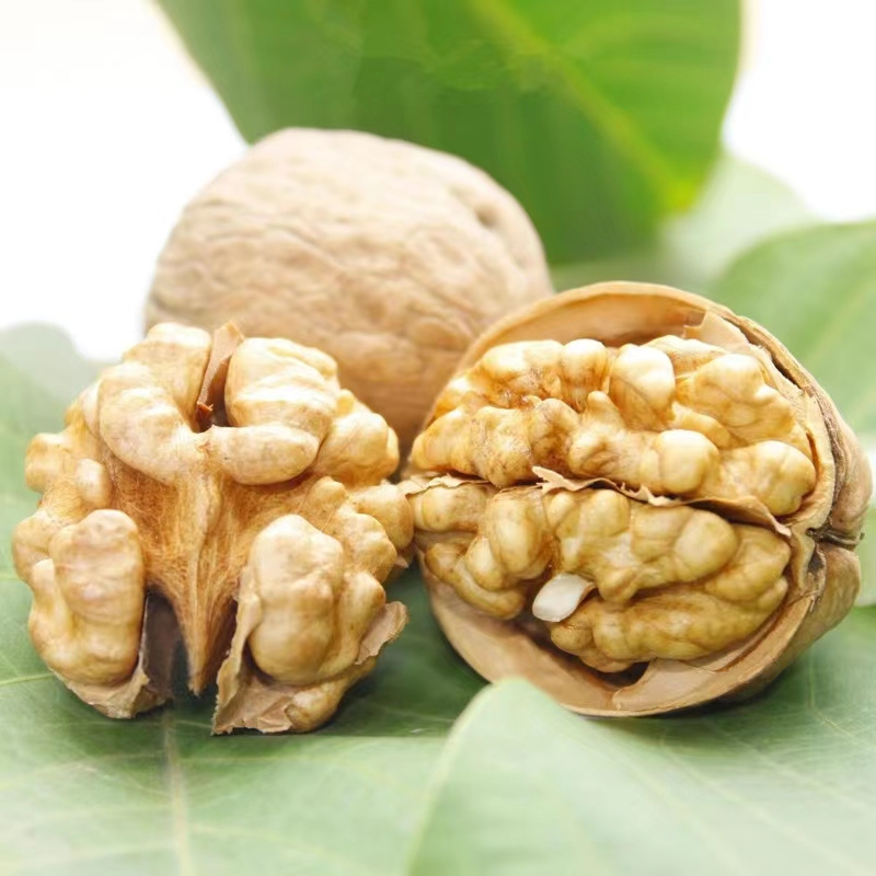 wholesale high quality1kg walnuts price walnut in shell walnuts