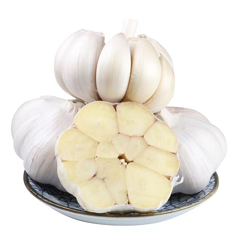 Wholesale Chinese garlic 2023 fresh vacuum peeled bulk garlic