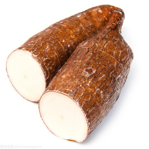 Hot sale fresh cassava high quality fresh cassava