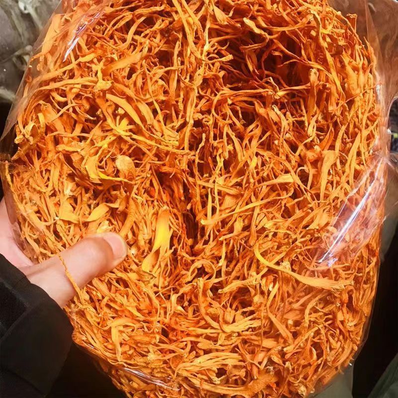 Bulk Cordyceps Flowers Organic Cordyceps Spores Dried Cordyceps Militaris Mushroom