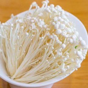 Enoki mushroom with factory supply high quality enoki mushroom