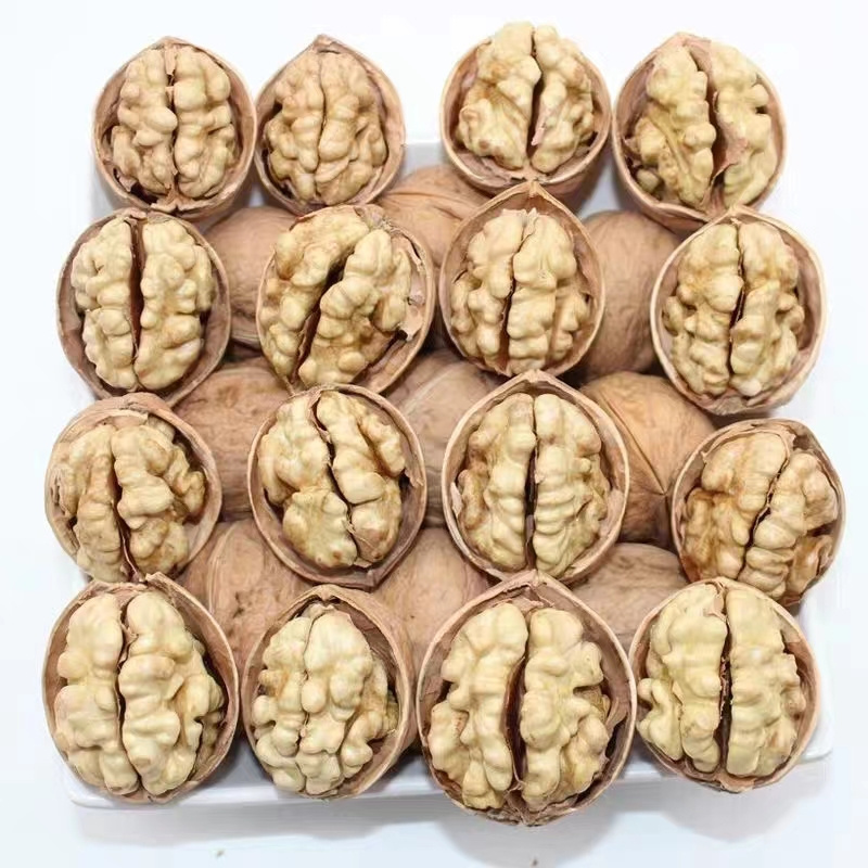 wholesale high quality1kg walnuts price walnut in shell walnuts