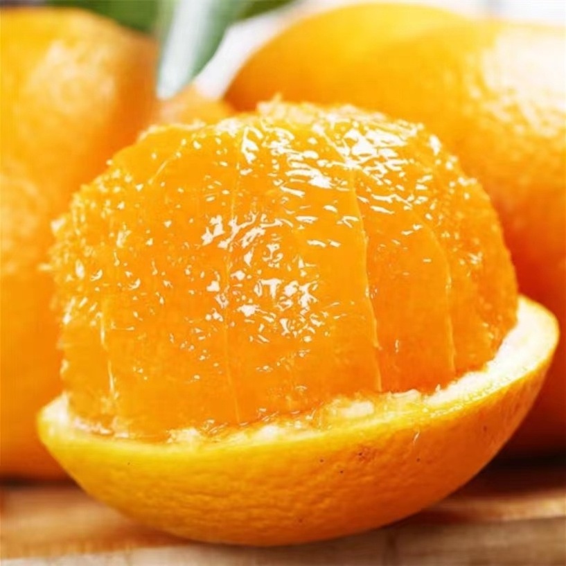 wholesale china fresh citrus fresh orange fresh sweet navel orange valencia orange