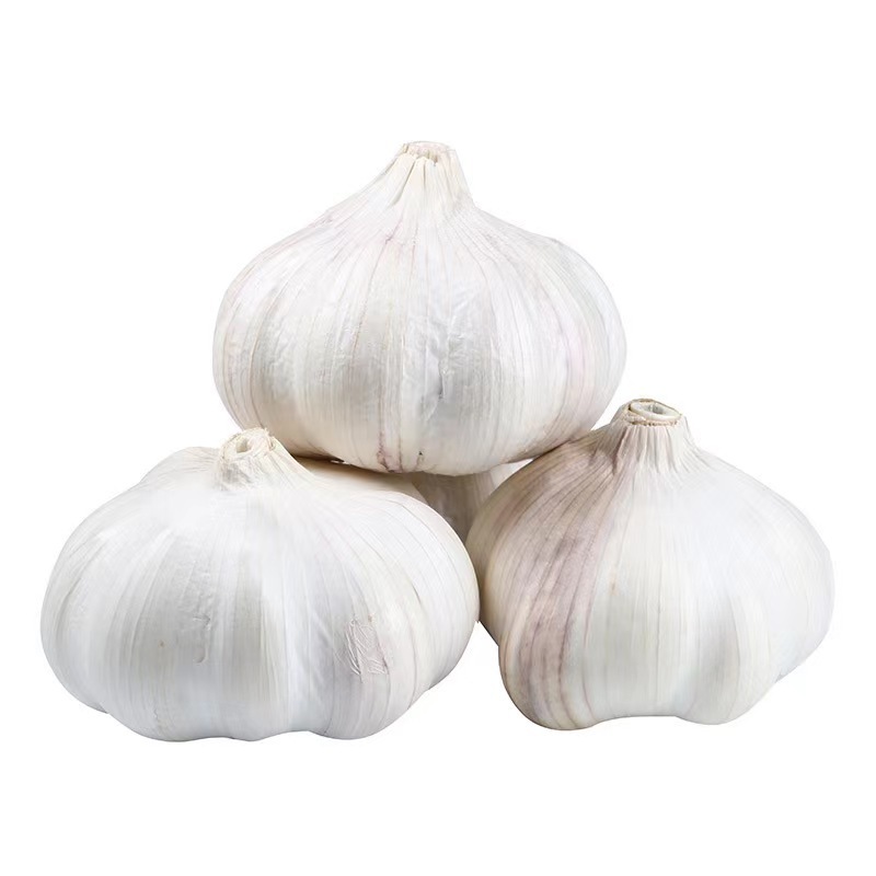 Wholesale Chinese garlic 2023 fresh vacuum peeled bulk garlic