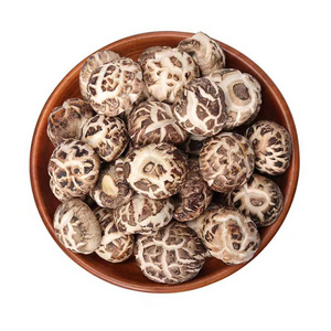 Hot sales Chinese dried shiitake mushroom dehydrated mushroom dry flower shiitake mushrooms