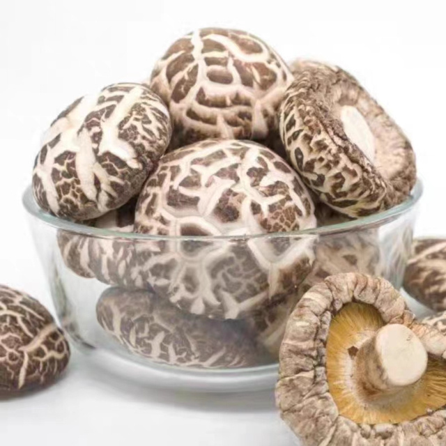 Hot sales Chinese dried shiitake mushroom dehydrated mushroom dry flower shiitake mushrooms