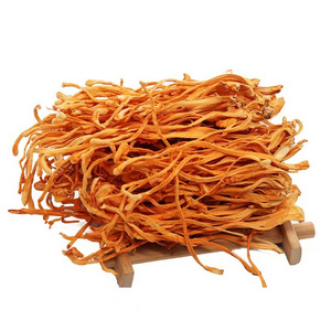 Bulk Cordyceps Flowers Organic Cordyceps Spores Dried Cordyceps Militaris Mushroom