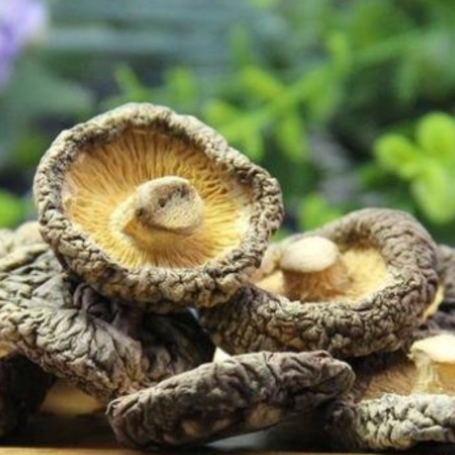 Wholesale high quality natural Dried shiitake mushrooms organic shiitake mushrooms 1kg price dried shiitake mushrooms