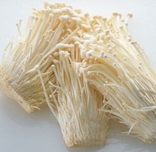 Enoki mushroom with factory supply high quality enoki mushroom