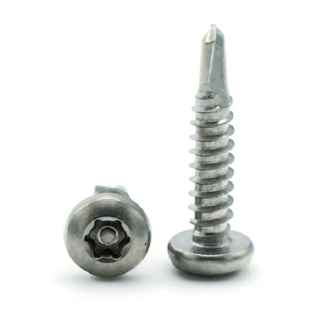 LEITE  All Kind Stainless Steel secure anti-theft bolt and nut screw custom security Bolt