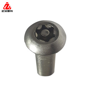 LEITE  All Kind Stainless Steel secure anti-theft bolt and nut screw custom security Bolt