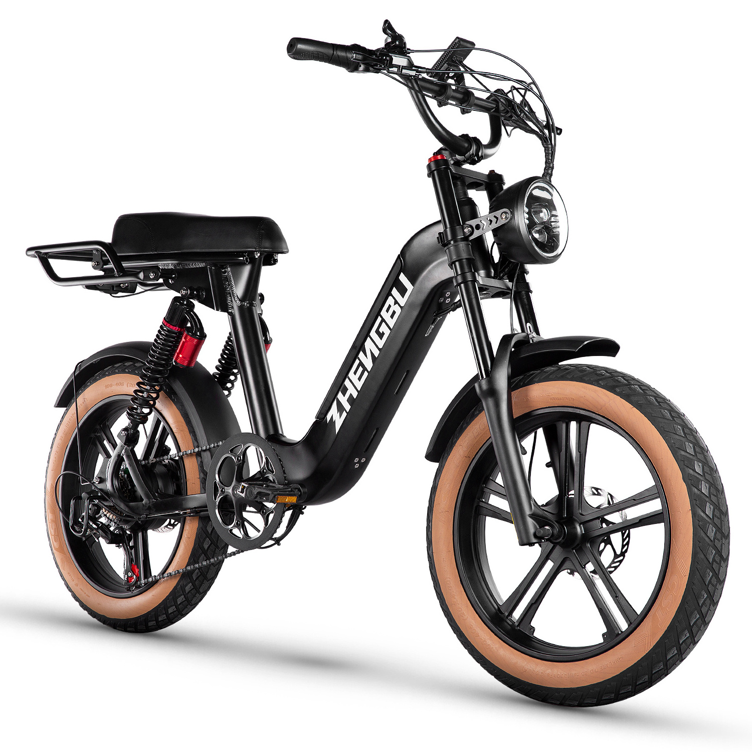 ZHENGBU S11 Long Range Removable Battery Moped-Style Electric Bike 750W Motor 20