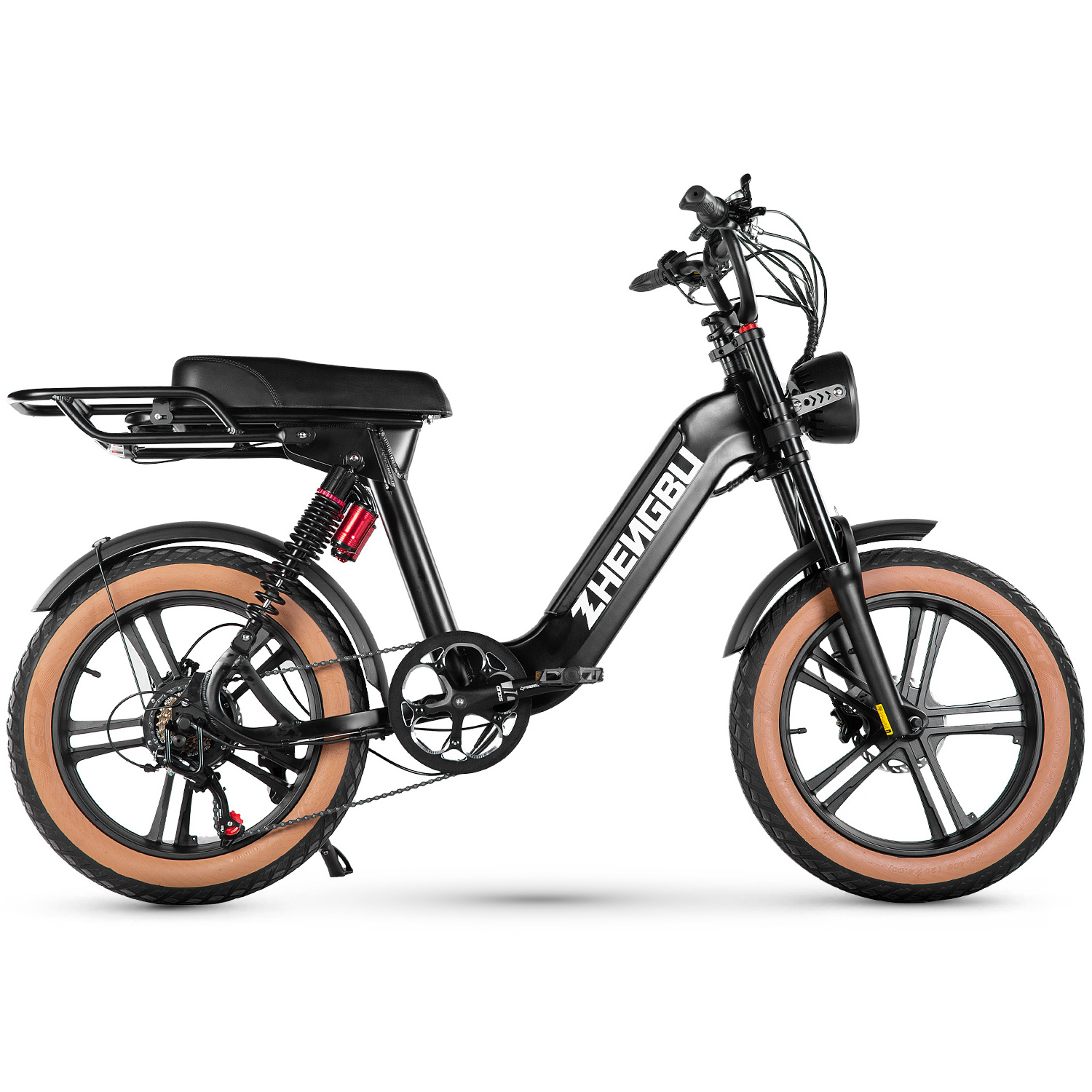 ZHENGBU S11 Long Range Removable Battery Moped-Style Electric Bike 750W Motor 20