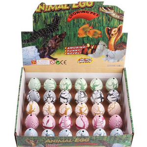 Wholesale Hatching Dinosaur Eggs Magic Surprise water growing  Animals Pet Toys