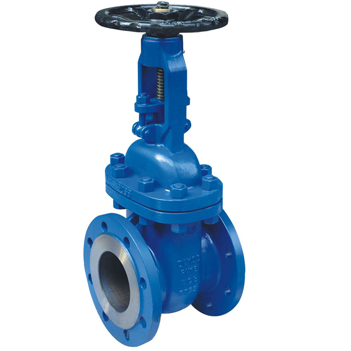 Casting Stainless Steel or Carbon Steel Flange API 600 / API 6D Gate Valves  150LB 300LB 600LB