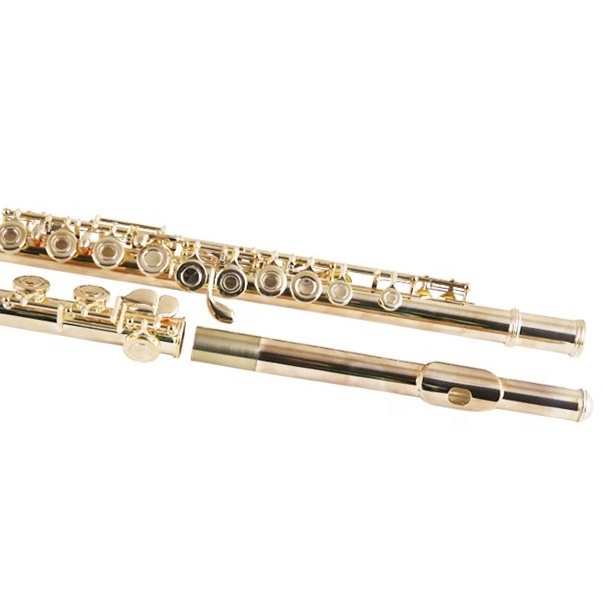 Flute Silver Plated Flute Musical Instrument Flute 16 Holes For Sale