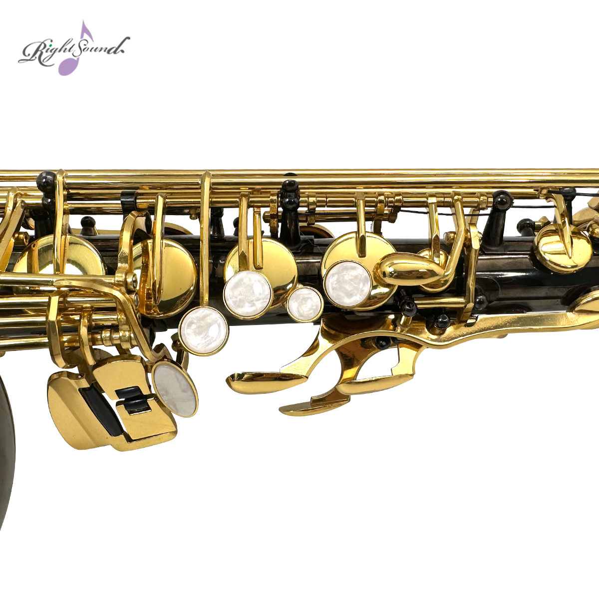 Black Nickel Plated Alto Saxophone Factory Direct Sale with Cheap Price Sax With a Carved Pattern