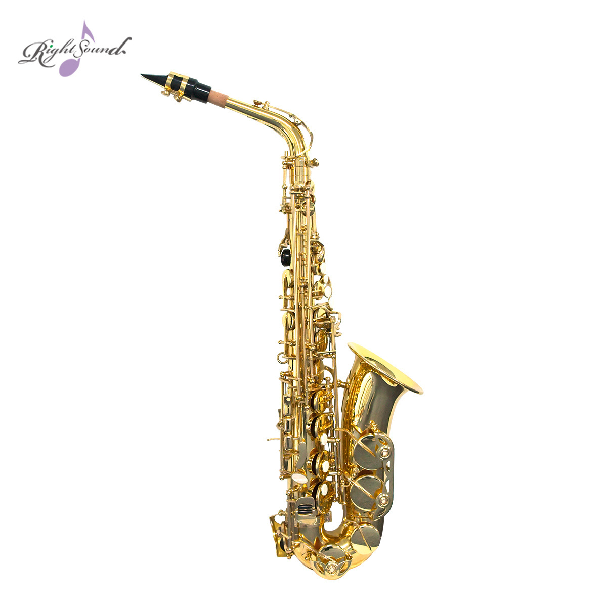 Eb ALTO Saxophone for Beginners and Students Yellow Brass Musical Instruments with Cheap Factory Wholesale Price